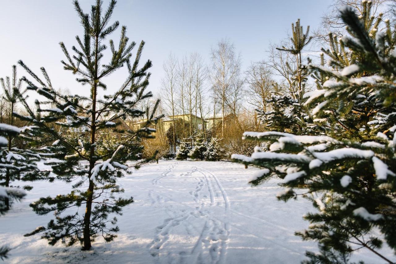 Chalet By Skokovo Park Villa Szuponyevo Kültér fotó